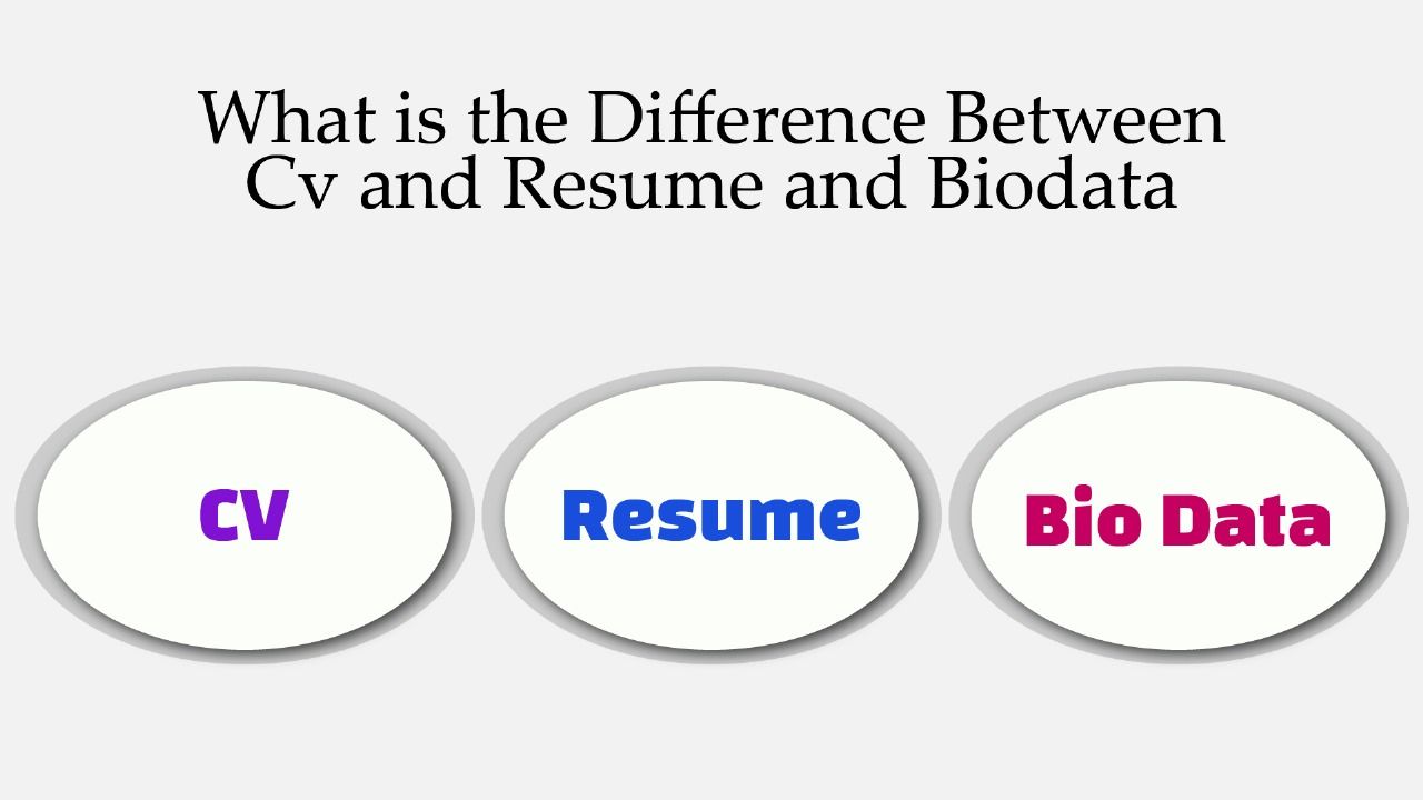 What is the Difference Between CV and Resume and Biodata